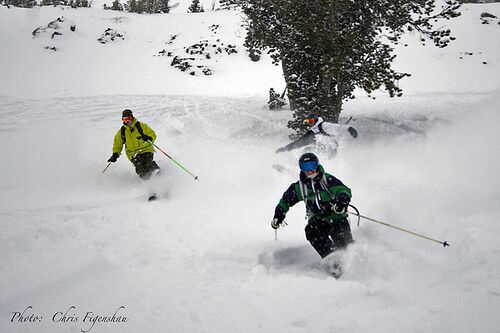 https://ski-i.com/