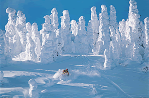 https://ski-i.com/