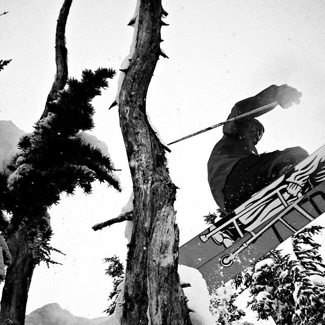 https://ski-i.com/