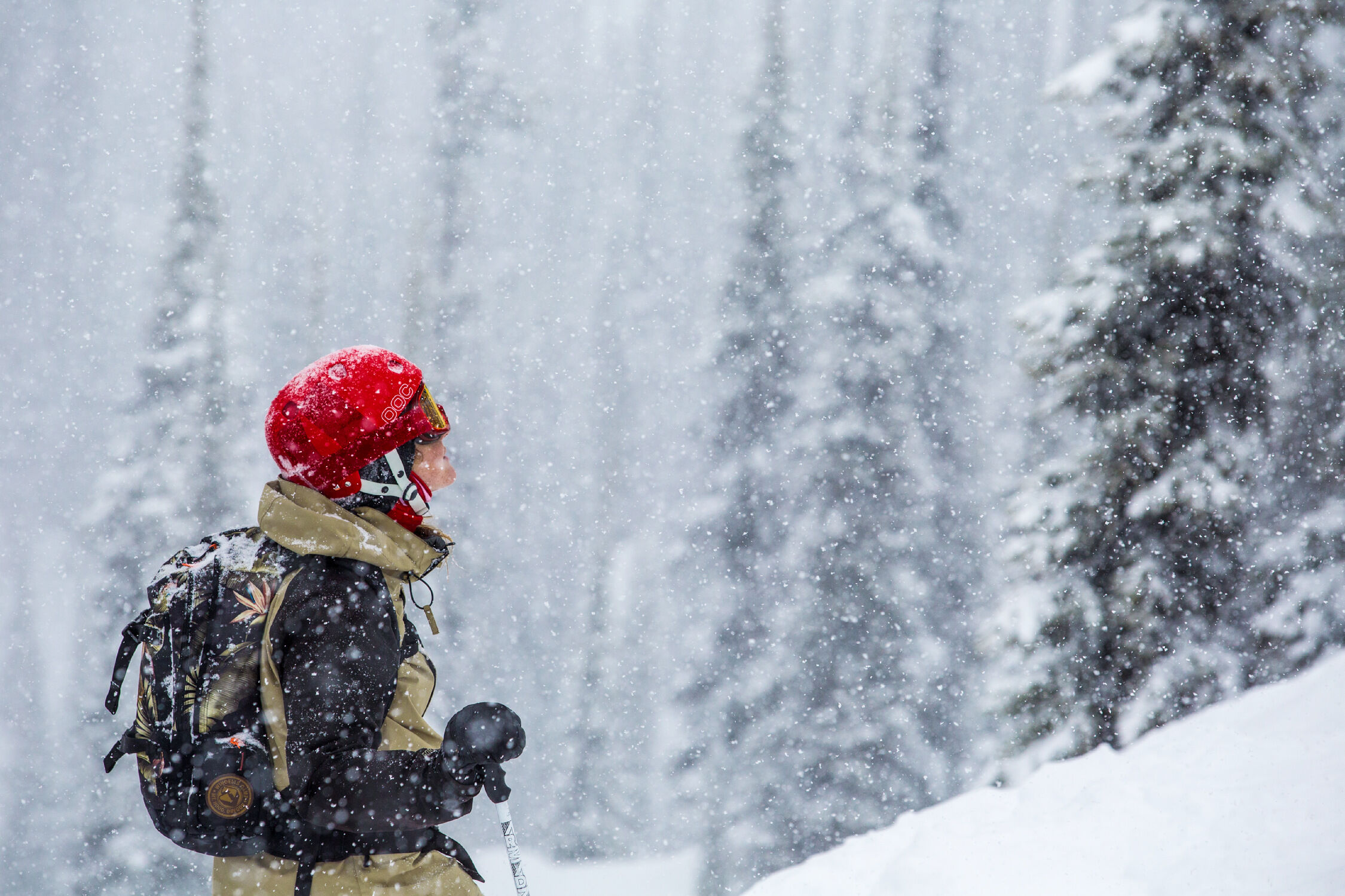 https://ski-i.com/