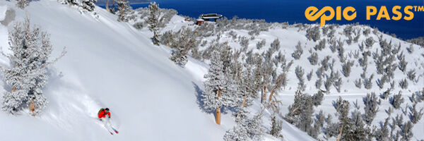 https://staging.ski-i.com/