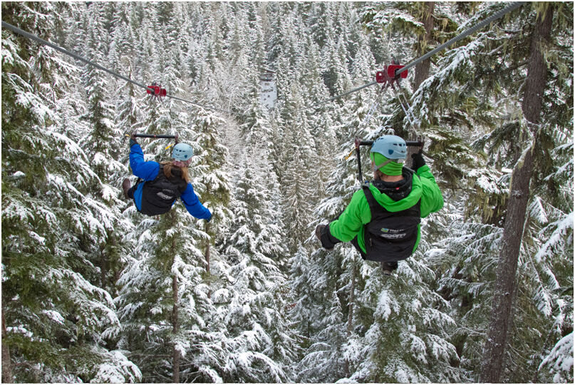 https://staging.ski-i.com/